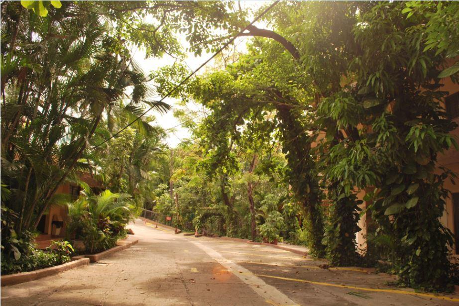 Hotel La Hacienda Tuxtla Gutierrez Exterior photo